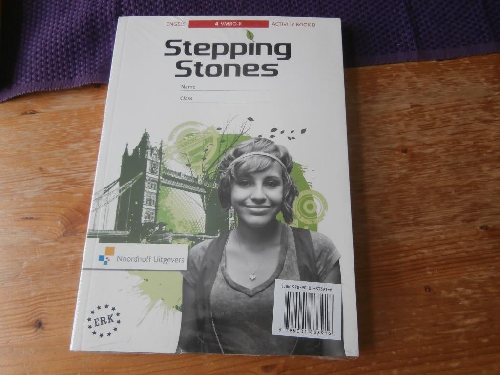 schoolboek Stepping Stones 4 VMBO k Activity Book Noordhoff, Boeken, Engels, Ophalen of Verzenden, Noordhoff Uitgevers, HAVO