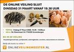 Mooie mineraalstenen en edelstenen in onze online veiling, Sieraden, Tassen en Uiterlijk, Ophalen, Nieuw