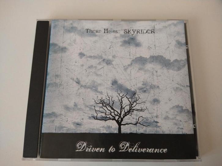 Skyrider – Driven To Deliverance, Cd's en Dvd's, Cd's | Rock, Zo goed als nieuw, Poprock, Verzenden