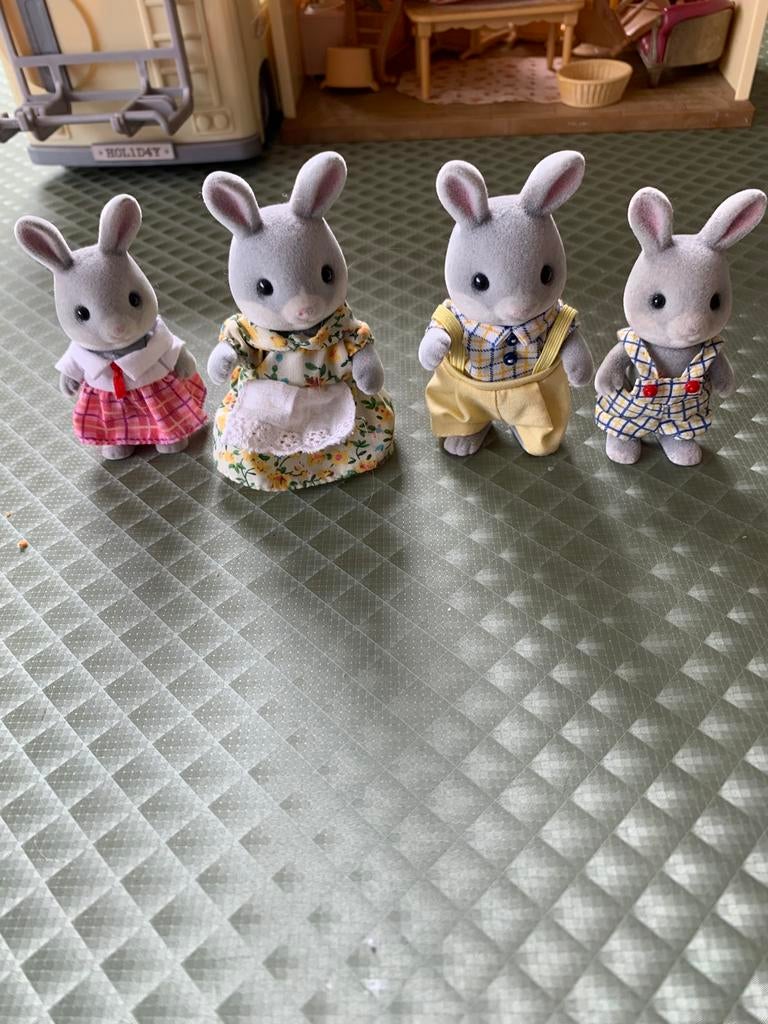 Sylvanian konijnen familie, Ophalen of Verzenden, Zo goed als nieuw