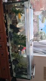 Aquarium compleet ophalen. Presikhaaf.., Ophalen, Gebruikt, Overige typen