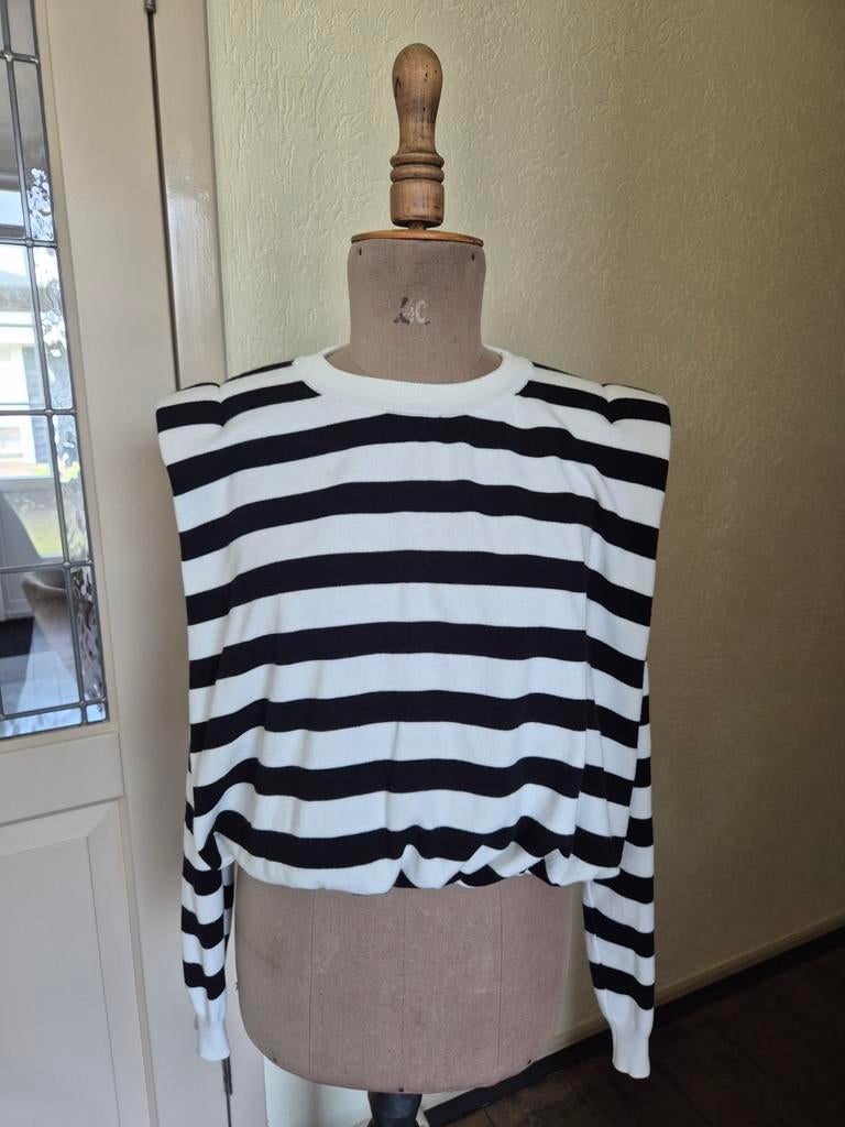 Estelle Cruijff cropped sweater one size NIEUWSTAAT!, Kleding | Dames, Tops, Estelle Cruijff, Ophalen of Verzenden, Zo goed als nieuw