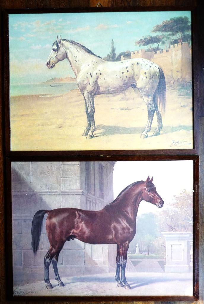 Het Normandische paard en Turksche paard van Otto Eerelman, Antiek en Kunst, Kunst | Litho's en Zeefdrukken, Ophalen of Verzenden