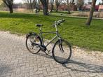 herenfiets gazelle fuente, Ophalen, Gebruikt, Versnellingen, 57 tot 61 cm