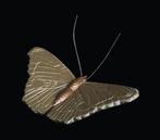 Urn steen vlinder in twee maten verkrijgbaar, Ophalen of Verzenden, Nieuw