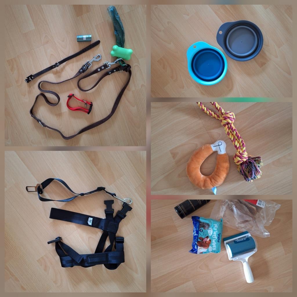 Hondenriem en halsband Jack&Vanillas, tuigjesvoor terrier, Ophalen of Verzenden, Zo goed als nieuw, Hondenriem