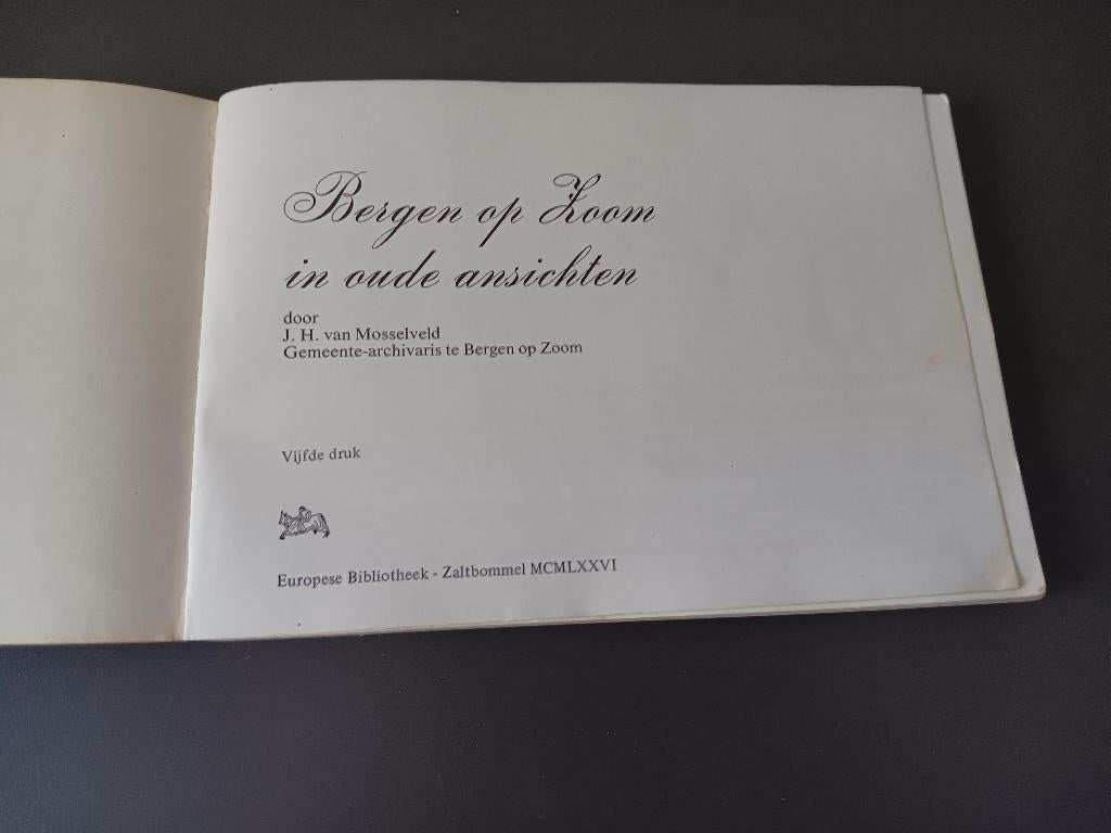 Bergen op Zoom in oude ansichten, Boeken, Geschiedenis | Stad en Regio, Ophalen of Verzenden, Gelezen