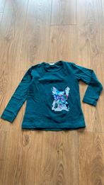 Longsleeve/t-shirt Zara, Kinderen en Baby's, Kinderkleding | Maat 122, Nieuw, Meisje, Ophalen of Verzenden, Zara