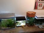 4 Aquariums, Ophalen of Verzenden, Gebruikt, Leeg aquarium