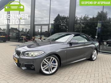 BMW 2-serie Cabrio 220i M Sport|Clima|Stoelverwarming|Trekha beschikbaar voor biedingen