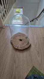 Stolp, Ophalen, Nieuw