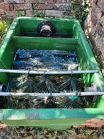 Filterbak drie kamers, Tuin en Terras, Vijver-toebehoren, Ophalen of Verzenden