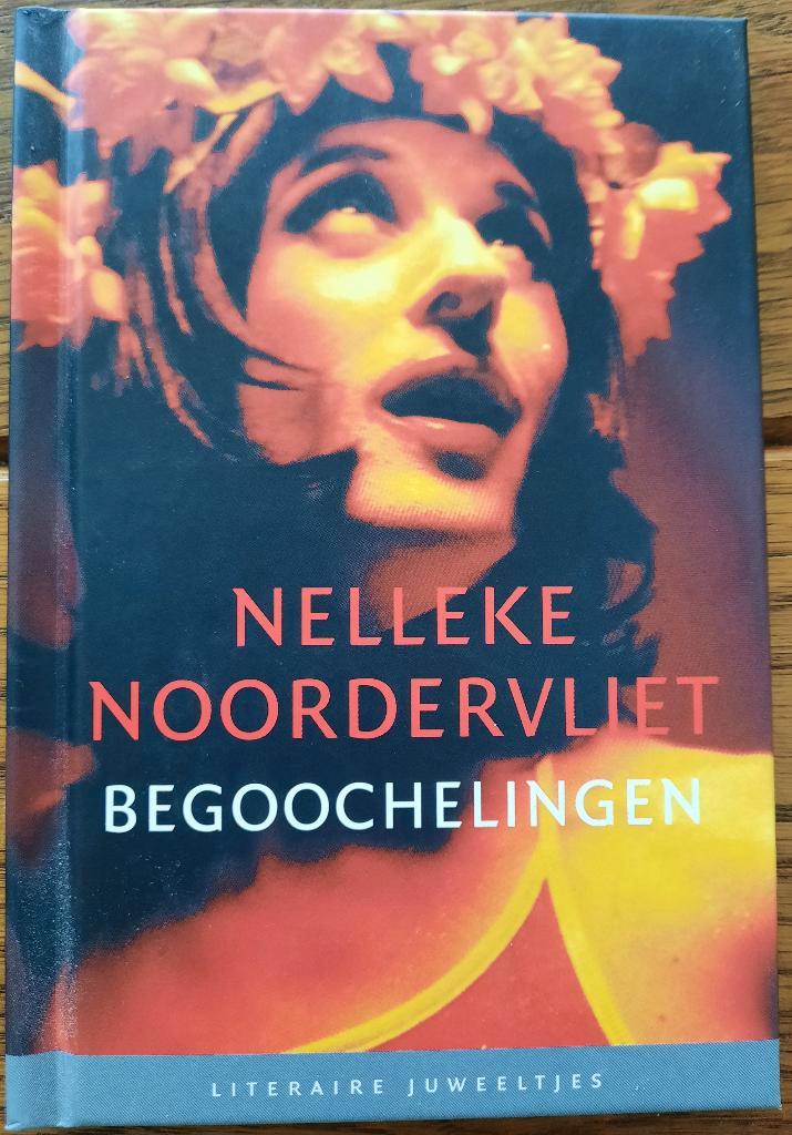Boek Begoochelingen van Nelleke Noordervliet, Boeken, Literatuur, Gelezen, Ophalen of Verzenden