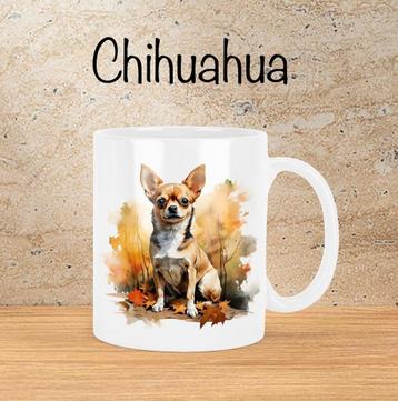 Chihuahua Herfstmok beschikbaar voor biedingen