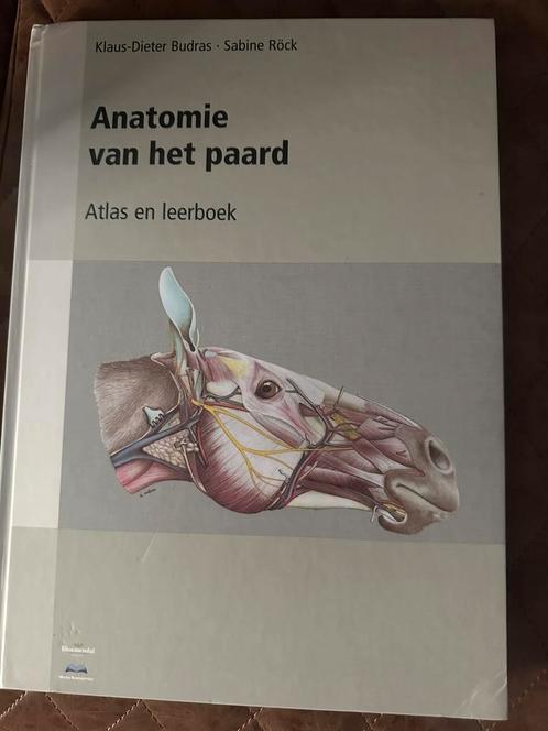 Anatomie van het paard, Budras, Boeken, Dieren en Huisdieren, Gelezen, Paarden of Pony's, Ophalen