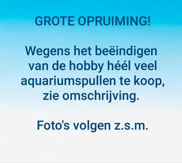Heel veel aquariumspullen! beschikbaar voor biedingen