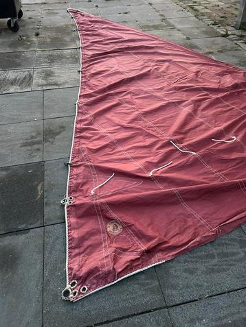 Bruine fok beschikbaar voor biedingen