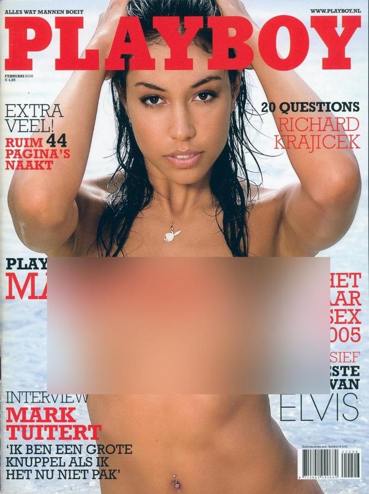 Diverse Nederlandse Playboy uitgaven 2006, Verzamelen, Tijdschriften, Kranten en Knipsels, Tijdschrift, Nederland, 1980 tot heden