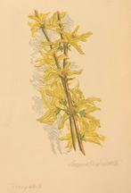 Leopold Wächtler (Duitsland 1896–1988) kleurenhoutsnede “For, Antiek en Kunst, Kunst | Etsen en Gravures, Ophalen of Verzenden