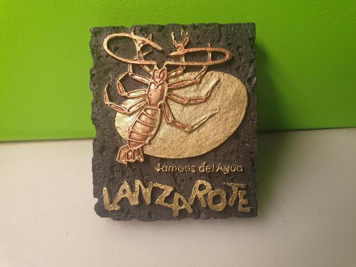 Magneet - Lanzarote - Jameos del Agua - Spanje, Verzamelen, Overige Verzamelen, Gebruikt, Ophalen of Verzenden