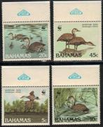 C352 Bahamas 672/73 postfris Vogels, Verzenden, Postfris, Dier of Natuur