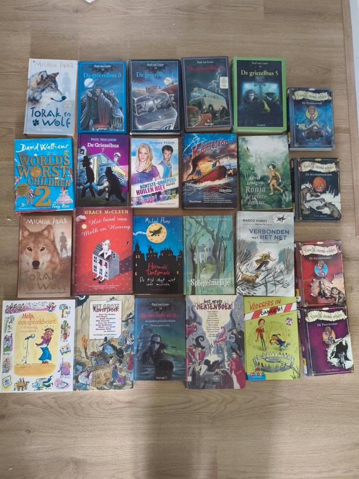 Boekenset divers, Boeken, Kinderboeken | Jeugd | 10 tot 12 jaar, Zo goed als nieuw, Ophalen of Verzenden
