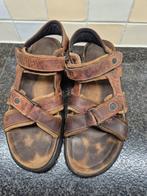 Heren sandalen maat 47 Montrex, Ophalen of Verzenden, Gedragen, Sandalen