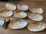 Parelmoer schelpen, Verzamelen, Mineralen en Fossielen, Ophalen of Verzenden, Schelp(en)