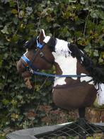 Hobbyhorse met tuig – hobby horse, Hobby en Vrije tijd, Overige Hobby en Vrije tijd, Ophalen of Verzenden