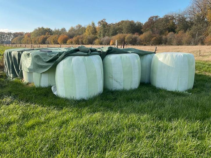 Hooi en Voordroog Balen te Koop, Zakelijke goederen, Agrarisch | Aardappelen, Groenten, Fruit en Vlees, Ophalen