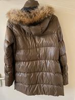 Duvetica Donsjas Bruin Maat L (Italiaanse 46), Kleding | Dames, Jassen | Winter, Ophalen of Verzenden, Zo goed als nieuw, Maat 42/44 (L)
