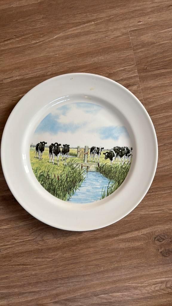 Ontbijtbord “Wiebe van der Zee”, Antiek en Kunst, Antiek | Wandborden en Tegels, Ophalen of Verzenden