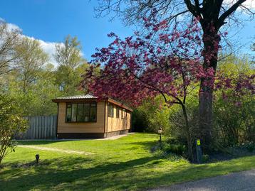 Luxe Chalet op Witterzomer: Genieten in Drenthe - Vakantie beschikbaar voor biedingen