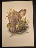 Otter, Verzenden, 1980 tot heden, Zo goed als nieuw, Dier