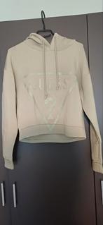 Nieuwe guess trui maat s, Guess, Nieuw, Ophalen of Verzenden, Maat 36 (S)