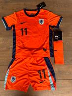 Nieuw voetbaltenue Nederlands elftal 2025/2026 Cody Gakpo, Maat XS of kleiner, Ophalen of Verzenden, Zo goed als nieuw, Set