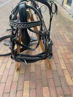 Zwart Enkelspan tuig Nieuw, Dieren en Toebehoren, Paarden en Pony's | Hoofdstellen en Tuigage, Ophalen of Verzenden, Nieuw