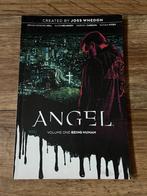 Angel | Comic | Volume One | Being Human | BOOM! Studios, Eén comic, Verzenden, Gelezen