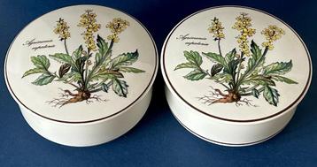 Dekseldoosje / bonbonnière Villeroy en Boch Botanica vintage beschikbaar voor biedingen