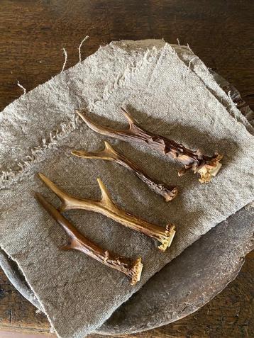 Landelijke set decoratie afwerpstangetjes  beschikbaar voor biedingen