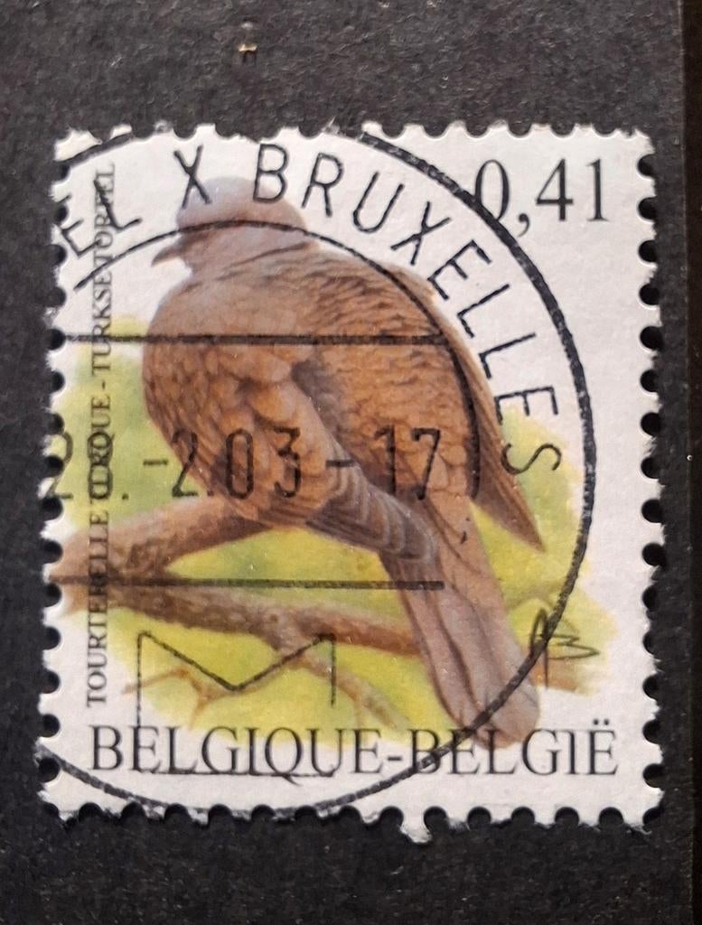 België 260 Turkse tortel, Ophalen of Verzenden