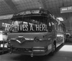 Leyland Bus Royal Tiger factory display stand 1953 Inter, Nieuw, Auto's, Ophalen of Verzenden