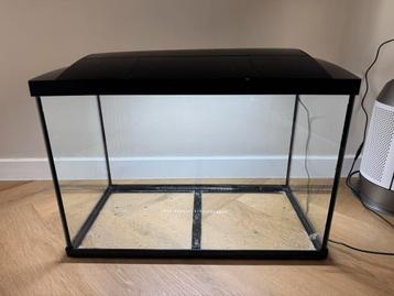 Superfish aqarium beschikbaar voor biedingen