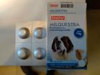 ontwormingsmiddel tabletten grote hond Milquestra, Dieren en Toebehoren, Ophalen of Verzenden, Nieuw