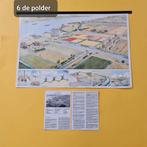 Schoolplaten., Antiek en Kunst, Ophalen of Verzenden, Natuur en Biologie