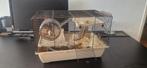 Hamster kooi, Dieren en Toebehoren, Kooi, Minder dan 75 cm, Minder dan 60 cm, Ophalen of Verzenden