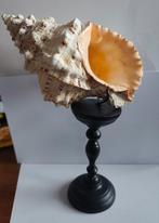 Grote decoratieve schelp op voet, Huis en Inrichting, Ophalen of Verzenden, Gebruikt