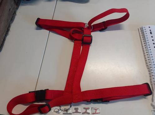 Merkloos rood hondentuig 60 cm, Dieren en Toebehoren, Hondenriemen, Gebruikt, Ophalen