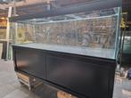 Volglas aquarium  250x80x70 hoog, Dieren en Toebehoren, Vissen | Aquaria en Toebehoren, Ophalen, Aquariumbouwer, Deutzstraat 2 1976bl