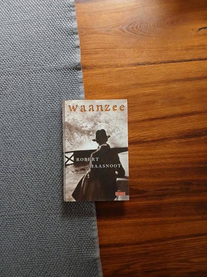 R. Haasnoot - Waanzee, Boeken, Literatuur, Ophalen of Verzenden